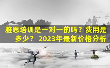 雅思培训是一对一的吗？费用是多少？ 2023年最新价格分析